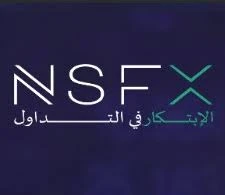إن إس إف إكس NSFX logo